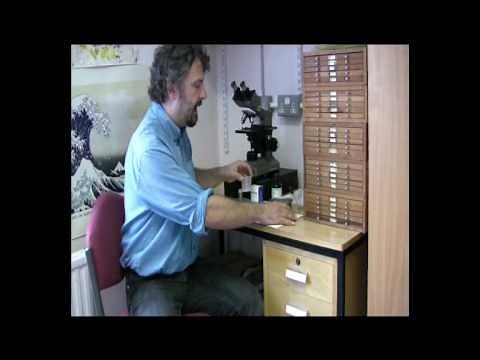 Radiolarian Micropalaeontology: Extracting Radiolaria from Sediment
