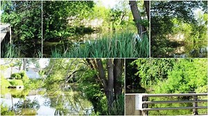Footsteps at the footbridge.