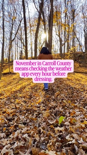 November in Carroll County >>> I've gathered all the best activities, restaurants, and family fun happening around town this fall! Comment "GUIDE" and I'll send you my Carroll County Fall Guide - full of my favorite spots & local recs. 👋 I’m @cdiamondrealtor - your local real estate agent in West Georgia. Send this to a friend visiting soon! #lifeinWestGeorgia #WestGeorgialife #WestGeorgiarealtor #thingstodoinWestGeorgia #WestGeorgialocal | The Diamond Team brokered by Exp Realty