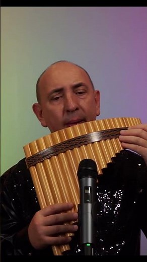 EL CONDOR PASA #flute#panflute