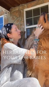 Don’t forget about those fur babies of yours! Herbs can support them too 🫶🏼 My boy onyx has a hot spot that’s really been bothering him so today I made him some herbal pastilles. We’re working with oatstraw, nettles, calendula, turmeric, cleavers & dandelion root. All of which have amazing benefits for the skin. They work by supporting the liver & lymphatic system. Reducing inflammation, relieving itching & helping with any environmental allergies he may be experiencing. I’ll be giving him 2-3