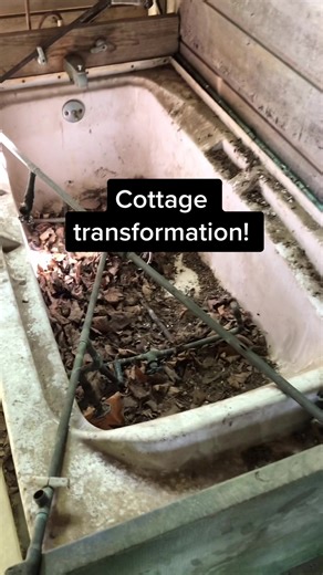 One Year of Reclaiming Thicket Cottage | Perfect Song Choice
