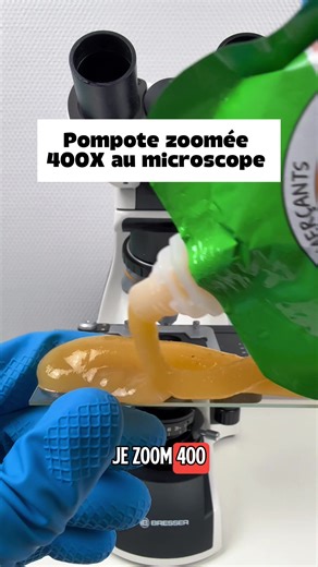 Exploration Microscopique de la Pompote