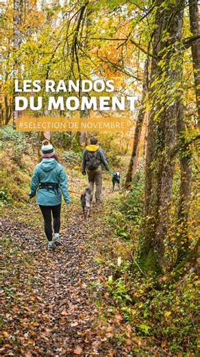 Tourisme Couserans Pyrénées on Instagram: "🍂 Les randos du moment : notre Top 5 de novembre À la recherche des meilleures randonnées pour explorer les Pyrénées ? 🌄 Des itinéraires sélectionnés par nos experts pour profiter des couleurs de saison et des points de vue exceptionnels. Ce mois-ci, cap sur les panoramas de la chaîne des Pyrénées avec ces idées de randos : 🗻 𝐑𝐞𝐥𝐚𝐢𝐬 𝐝𝐮 𝐁𝐨𝐮𝐢𝐫𝐞𝐱 : 4h30 de marche A/R, 635m de dénivelé 🌄 𝐒𝐞𝐧𝐭𝐢𝐞𝐫 𝐝𝐞 𝐁𝐚𝐠𝐞𝐫𝐭 : 2h45 de marche A
