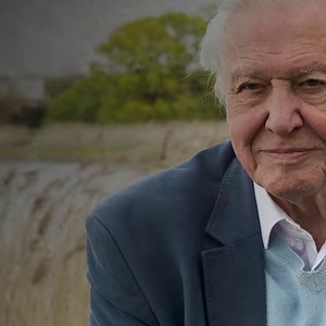 Don't just follow Sir David Attenborough on Insta, help him save our natural world too 🌏💚 Join the UK's largest network of wildlife defenders - become a member today: | The Wildlife Trusts