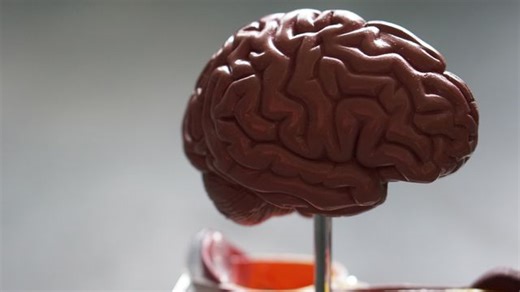 Increases in Brain Protein, Not Just Amyloid Clearance, Linked to Slower Cognitive Decline in Alzheimer’s