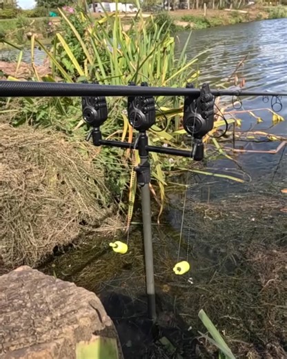 Chronocarpe on Instagram: "💛 Avid Carp VTX+ 💛 Conçus pour offrir fiabilité, simplicité d'utilisation et un rapport qualité-prix exceptionnel, ces détecteurs regorgent de fonctionnalités. ▪️ Molette IQ-Sense avec 8 niveaux de sensibilité pour un contrôle optimal ✳️ ▪️ Système LED ChromaLight avec 6 couleurs, 3 niveaux de luminosité et un mode veilleuse ! 🔦 ▪️ Système antivol SafeGuard ! 🔏 ▪️ Disponibles en packs de 2, 3 et 4 cannes 🎣 ▪️ Résistants aux intempéries, fiables et conçus pour les