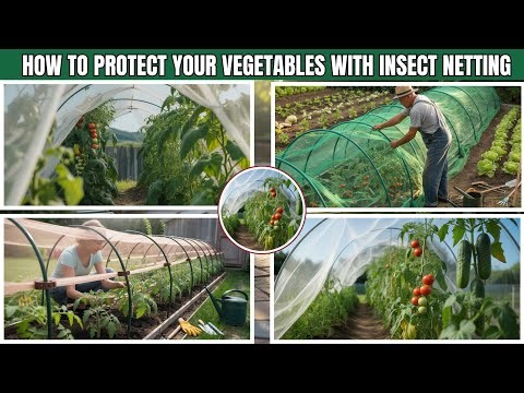 How to Protect Your Vegetables With Insect Netting | Stop Garden Pests FOREVER! 🌱✨