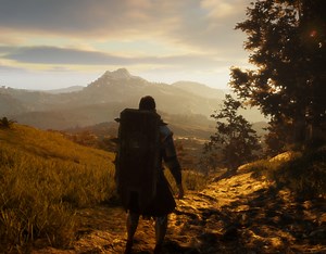 The Quinfall Windows game