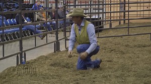 5.4K views · 69 reactions | Effective cattle handling is essential to reducing stress and increasing profitability. Learn how cattle handling expert, Curt Pate, practices successful cattle handling in this week’s episode of The Angus Report. | American Angus Association | Facebook
