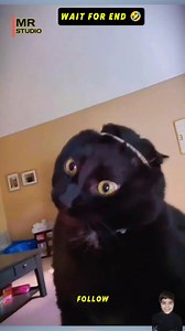 My boyfriend laughing in his sleep is the funniest thing you'll see today 🤣 #couplevideos #prank | Mr Studio