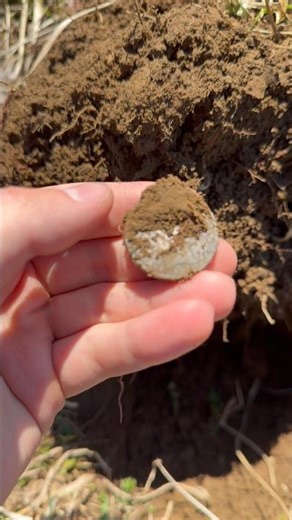 HUGE SILVER COIN Found Metal Detecting #metaldetecting #detectordiscovery #history #coin #trending