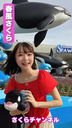 人生初の鴨川シーワールド♡ #shorts #春風さくら #さくらチャンネル