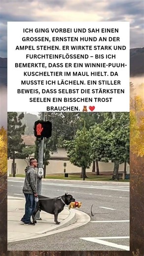 Ein starkes Herz mit weichem Kern 🐶🧸