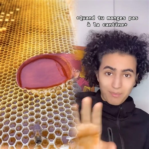 Cest toujours quand tu vas pas à la cantine quil se passe des