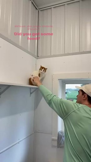 Casey the Cat Whisperer! 😻💙 #itsokay #scared #boy #finn #safe #furballfarmpetsanctuary #cats #love www.FurballFarmPetSanctuary.com 😻😻😻 | Furball Farm Cat Sanctuary