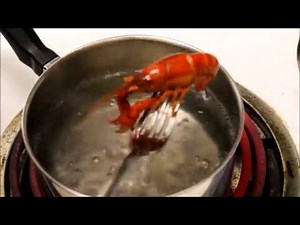 How to Cook a Crayfish (Boiling Technique)