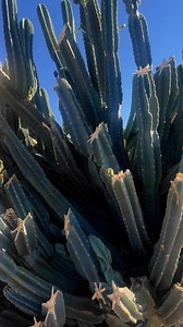 36K views · 86 reactions | It fell faster than expected #fall | NEVER NEVER Do This | Facebook