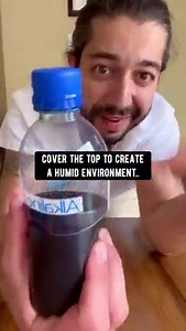 Spring is coming up! Next time you slice into a lemon, and a seed pops out.. do this with it! 🍋 Ps: if you have kids, have them try grow a baby lemon tree! 🤟 . . More plant tips and hacks in my booooks! CreativeExplained.com . . #Lifehacks #diy #howto #kitchenhacks #recycle #upcycle #hacks #creativeexplained #plantlover #gardening #plants | creative explained