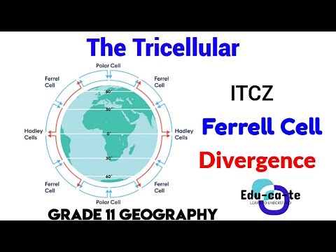 Tricellular - Grade 11 Geography