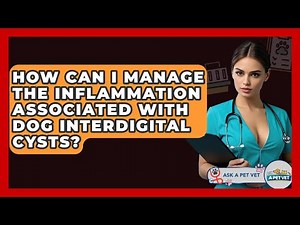 How Can I Manage The Inflammation Associated With Dog Interdigital Cysts? - Ask A Pet Vet