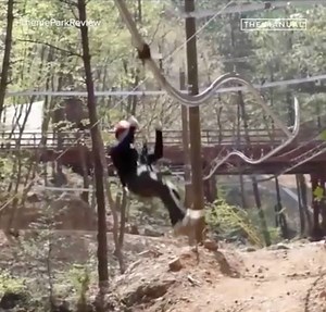 152K views · 185 reactions | Roller Coaster + Zipline = 110% Pure Awesomeness! | The Manual | Facebook