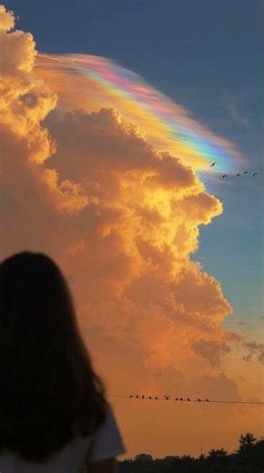 what do you call a rainbow that lives inside a cloud?