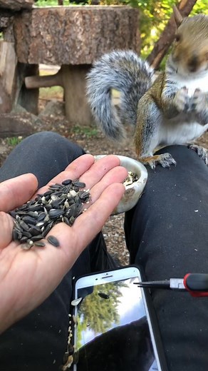More ticks keep appearing in this same spot on this young girl. How？ #tickremoval #squirrel #tick #removal | Fynjin | Facebook