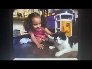 Elmo’s World: Pets! (2006 DVD)