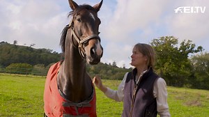 6.8K views · 251 reactions | ‘Horses communicate through feelings’  Our latest episode of RIDE features young horse specialist and problem horse trainer Connie Colfox.  Learn more about her work! https://www.fei.org/stories/lifestyle/horse-human/ride-training-young-and-problem-horses-connie-colfox | FEI Dressage | Facebook