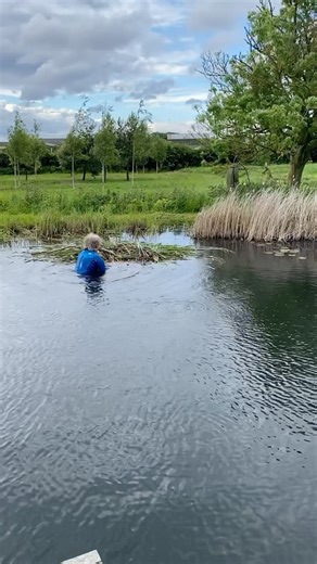 40K views · 39 reactions | Pool Maintenance Life Hack #organicpool #organicpools #pondlife #nochemicals #chemicalfree #nochlorine #chlorinfree #eco #ecolife #ecofreindly #wildlife #wildswimming #naturalpool #naturalpools | Natural Pools | Facebook