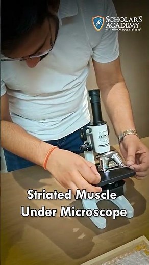 Human Muscle Under Microscope – You Won’t Believe This! #MicroscopeView #StriatedMuscle #BiologyLab