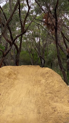 average day and sullies need to learn some new tricks #trekremedy8 #trekbike #bike #foryoupage #fyp #fypage #fypシ゚viral #fypシ #fy #foryou #biking #clean #fyppppppppppppppppppppppp