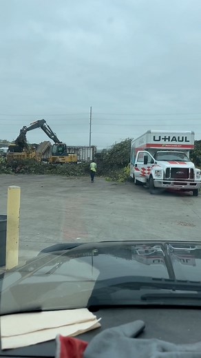 Rookies at the dump #reels #rook #tree #stormdamage #waiting | Anthony M Lopez