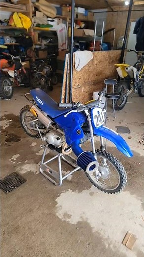 Reving The insanely built Ttr 90 #dirtbike #moto #enduro #motocross #yamaha #wheelie #youtubeshorts