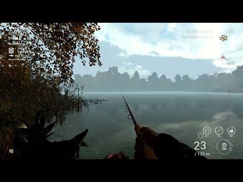 Fishing Planet - 110.Redfin Pickerel [Bait] (Emerald Lake)
