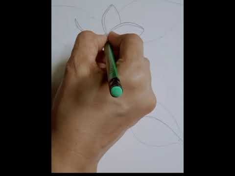 Jasmine flower drawing with pencil step by step tutorial//flower drawing tutorial