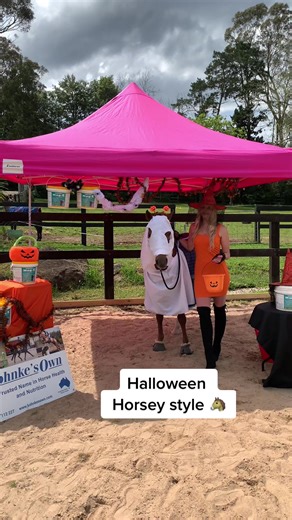 🎃👻🎃 Halloween Shoot 🎃👻🎃 #halloween #horses #kohnkesown #alyssawalsh13 #equestrian #spooky
