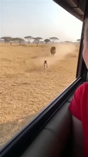 Snowy Squirrel Adventure in the Snow