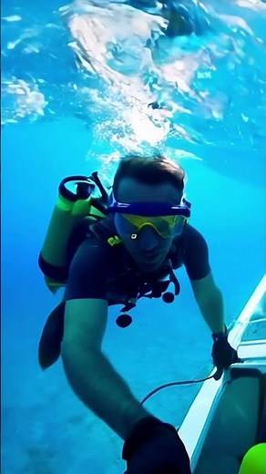 The Barreleye Fish: The Fish With a Transparent Head