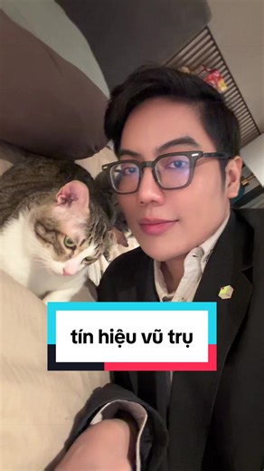 Tín hiệu vũ trụ: Chuyện mèo cưng và lịch trình
