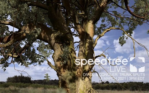 (官方版)SpeedTree 9制作香樟树全流程!