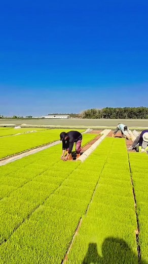 Cara agar badan tetap menyala dan berenergi