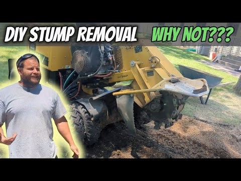 How to use a Stump Grinder - Vermeer SC382 #treeremoval #dirtyjobs #chainsaws #vermeer #diy