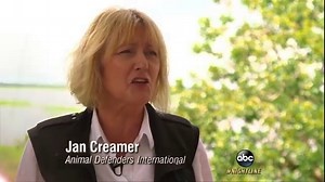 On a Mission to Rescue Circus Animals in Peru: Part 1