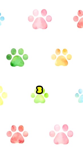 3 Pet Facts Most People Don’t Know 😺🐶 #facts #shorts #cat #dog