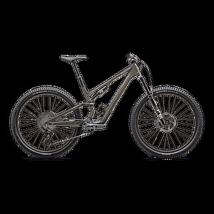 Stumpjumper 15 Expert  - SRAM GX AXS, FOX Performance Elite