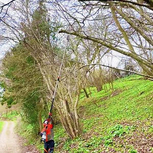 3.8K views · 73 reactions | ¡Un nuevo integrante llega a la familia...