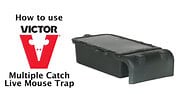 Victor® Multiple Catch Mouse Trap Instructional Video Video | WebstaurantStore