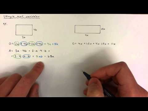 8 - Algebra - Uttryck med variabler